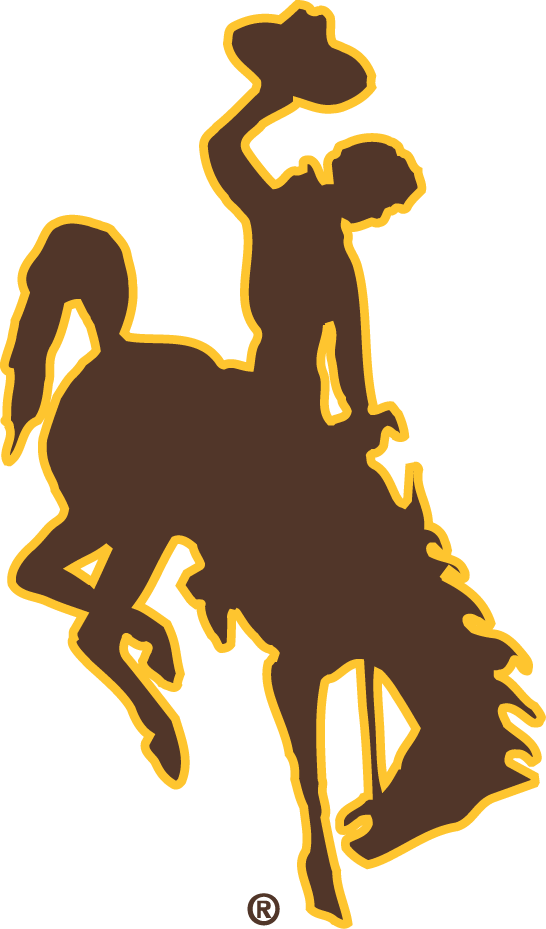 Wyoming Cowboys 2006-Pres Primary Logo t shirts DIY iron ons